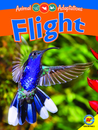 Animal Adaptations: Flight is for young readers in Grades 3 - 5 and is one of my new books out in 2016.