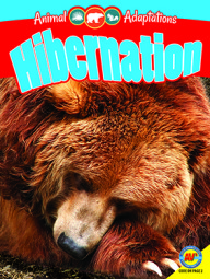 Hibernation is one of my new books out in 2016