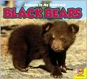 Black_bears