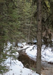 Cameron Creek babbled and burbled, free of ice.