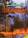 Natural Disasters: Wildfires