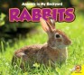 Rabbits